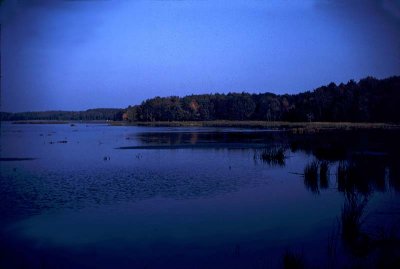 Dusk at Lake Jean