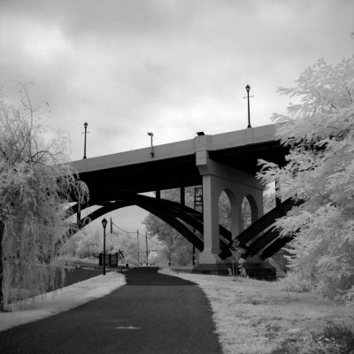 Trail Under 113 Bridge