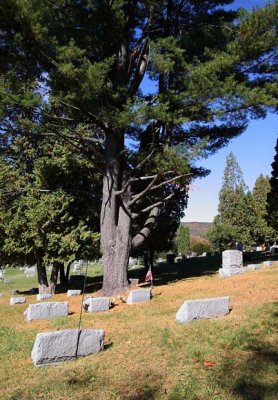 Park Cemetery