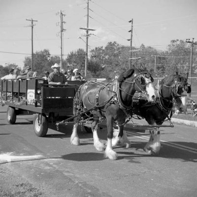 Horsedrawn Wagon