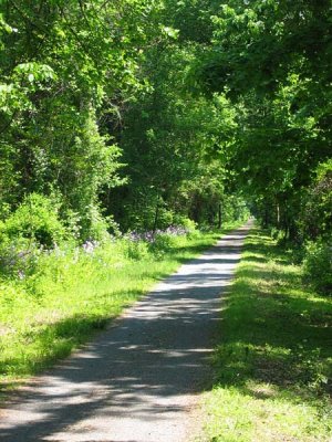 Rail Trail