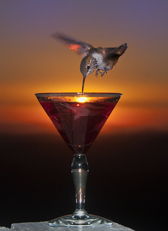 On a Wing  and a Prayer