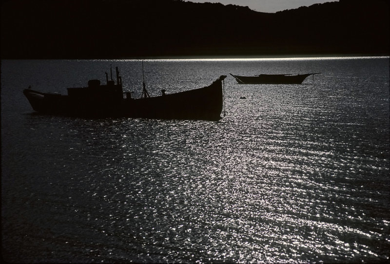 Skiffs in Moonlight Tamales Bay