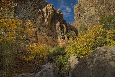 Burro Mesa PourOff side canyon - Big Bend