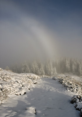 Half Snow Bow over Road