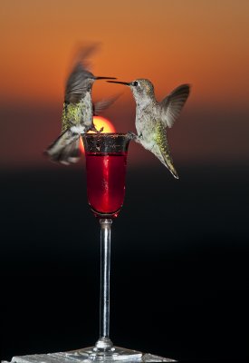 Showdown at Sunset