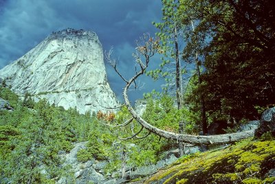 Storm Brewing - Yosemite