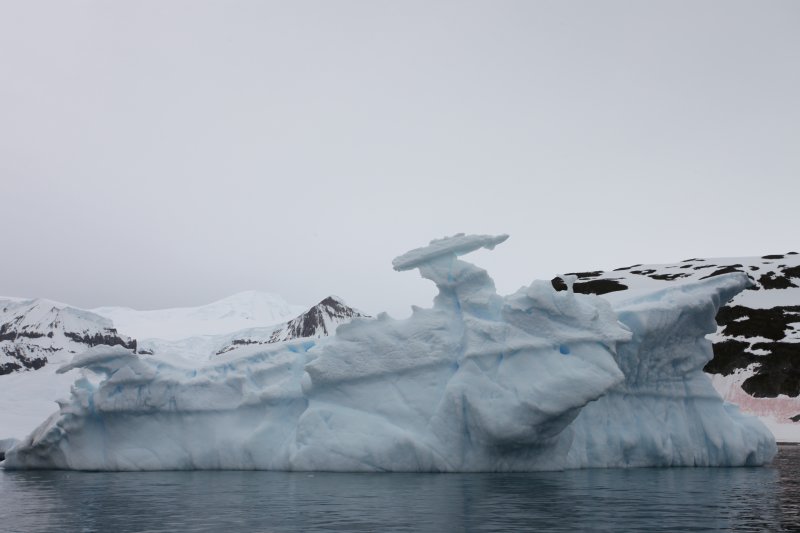 cuverville island