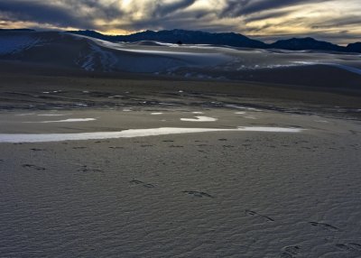 g1/93/504693/3/107683467.uiJUAoNd.jpg