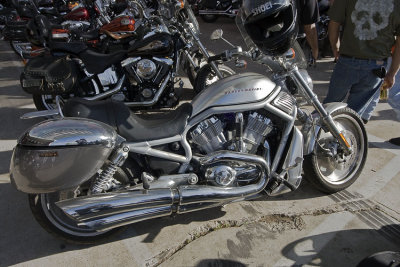 g1/93/504693/3/110922444.zKXh809s.jpg