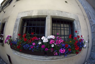 g1/93/504693/3/115232968.RrKdB2YB.jpg