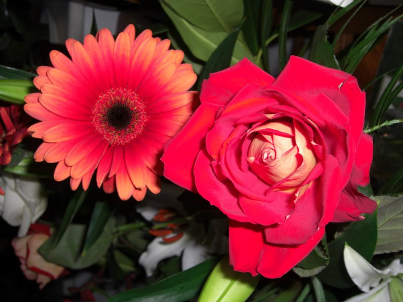 R0345w