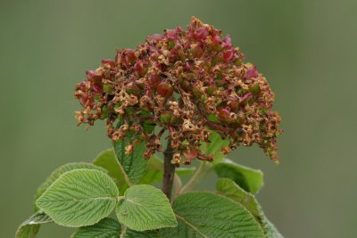 IMG_1147.JPG