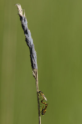 IMG_6730.JPG