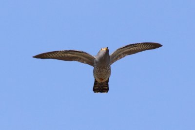 IMG_3454.JPG