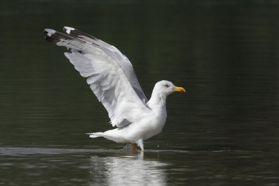 g1/93/522693/3/129568802.e2S9QaoR.jpg