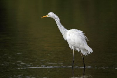 IMG_7459.JPG