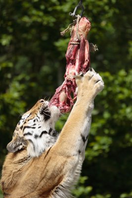 IMG_6507.JPG