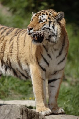 IMG_6624.JPG