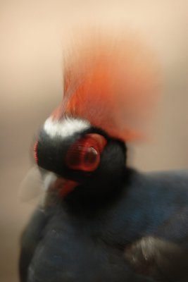 IMG_6704.JPG