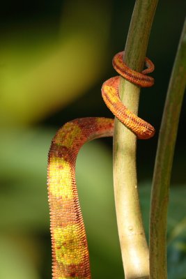 IMG_7479.JPG