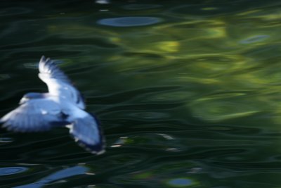 IMG_0359.JPG