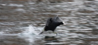IMG_5884.JPG