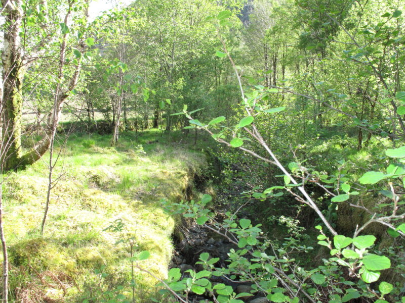 DPP_0041.JPG
