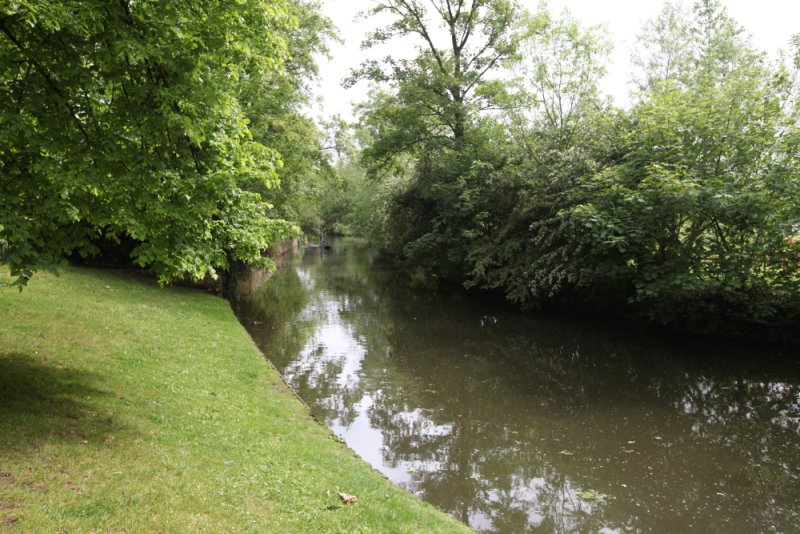DPP_0064.JPG