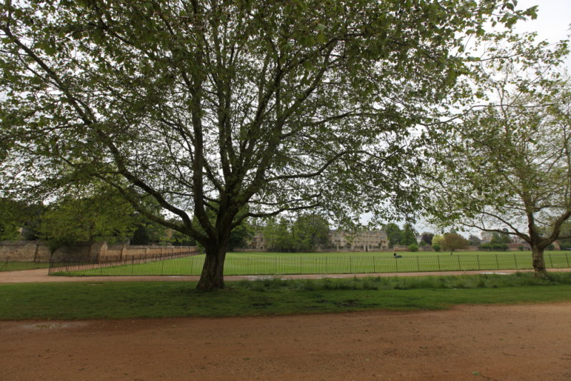 DPP_0068.JPG