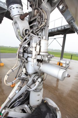 DPP_0060.JPG