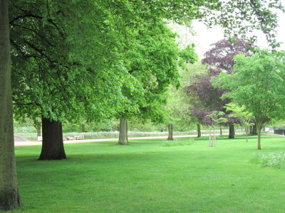 DPP_0009.JPG
