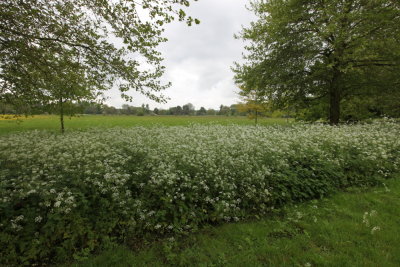 DPP_0065.JPG