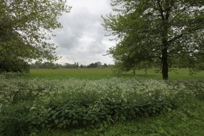DPP_0066.JPG