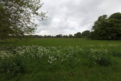DPP_0067.JPG