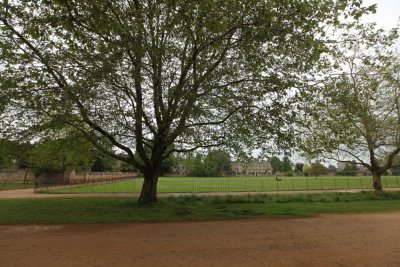 DPP_0068.JPG