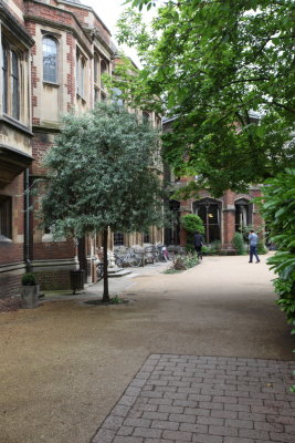 DPP_0248.JPG