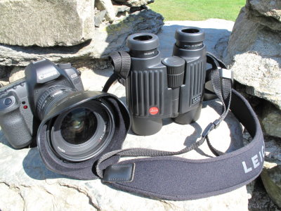 DPP_2003.JPG