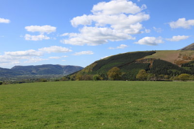DPP_2049.JPG