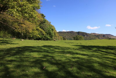 DPP_2123.JPG