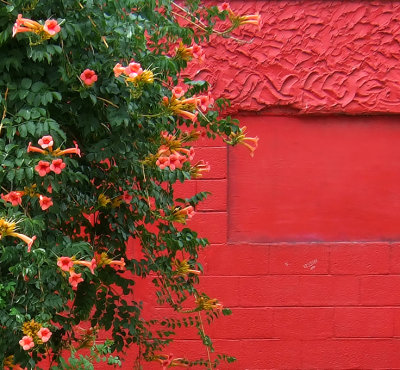 splash of red