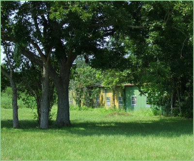 abandoned but colorful