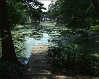 lake ashford