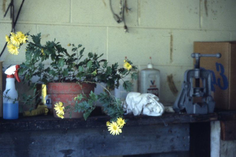 work bench liz.jpg