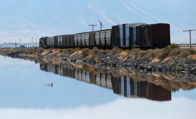Two Union Pacific eastbounds (one is all wet)