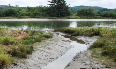 Lewis and Clark River inlet at low tide... 20090811_3771