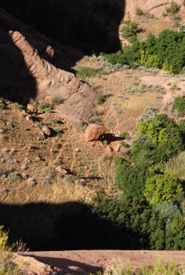 Animal paths on the canyon floor