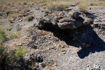 Desert pavement boulder provides shelter for animals (note the vegetation debris)