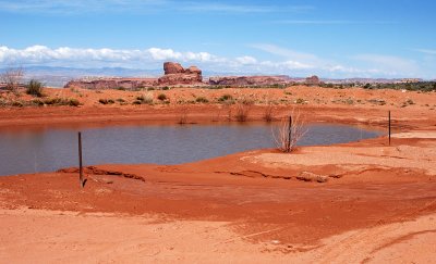 Surprise---a pond (created for grazing cattle?)