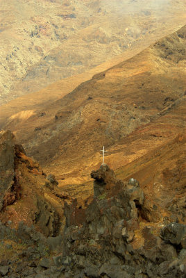 Guadalupe Island